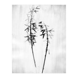 Hosta 2 (Print Only) thumbnail