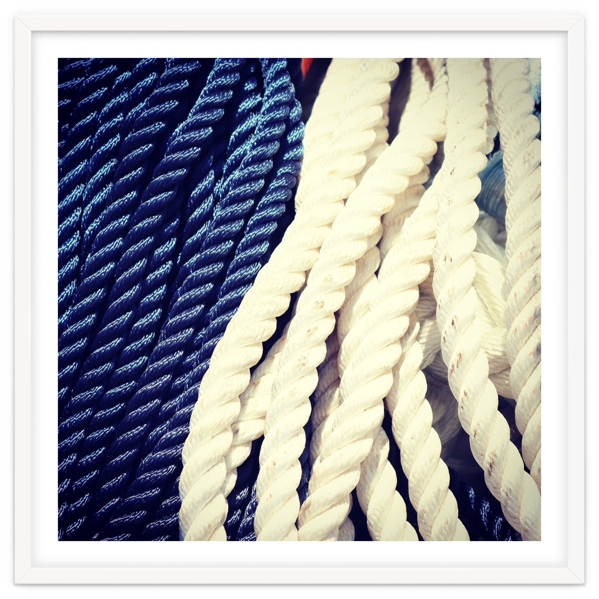Blue and white fishing rope