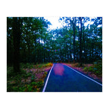 Into The Wild (Print Only) thumbnail
