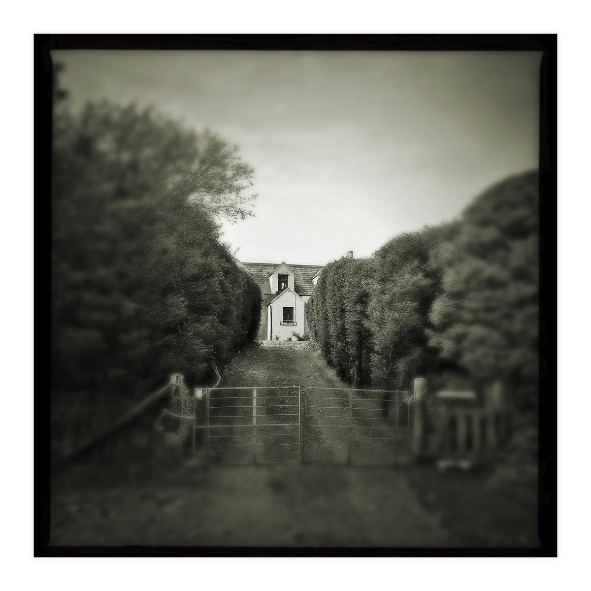 Waterstein 3 (Print Only)