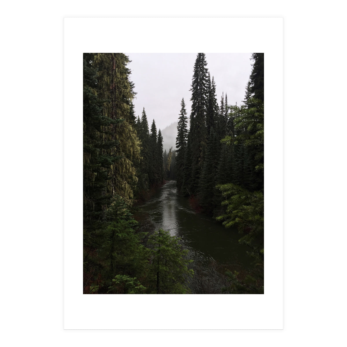 Evergreen State (Print Only)