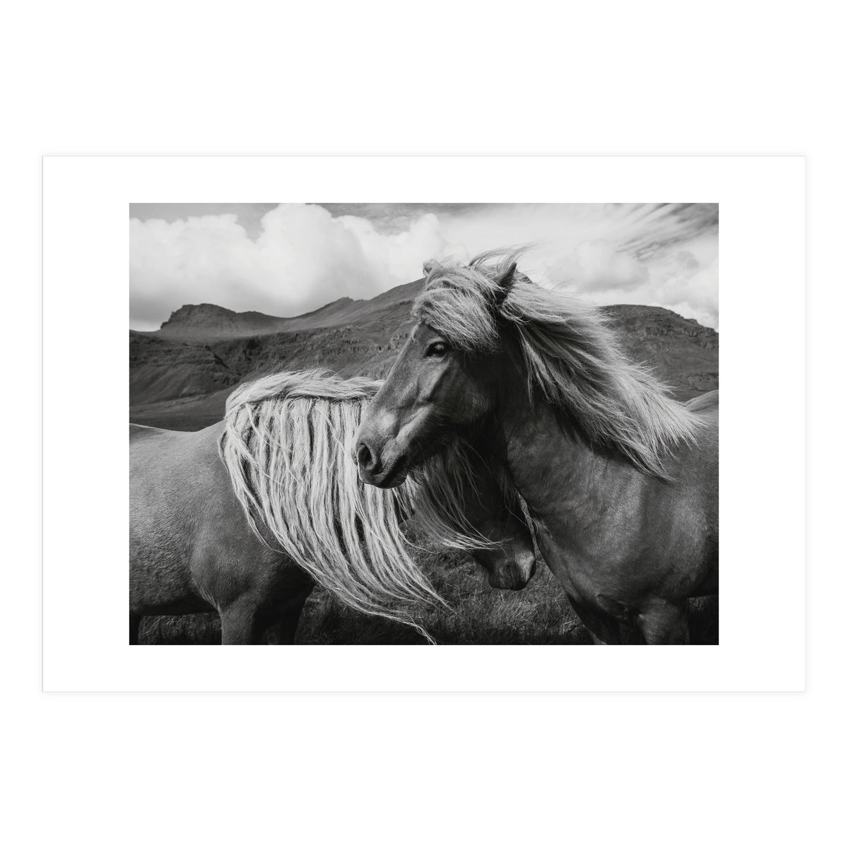 Horses In The Sky (Print Only)