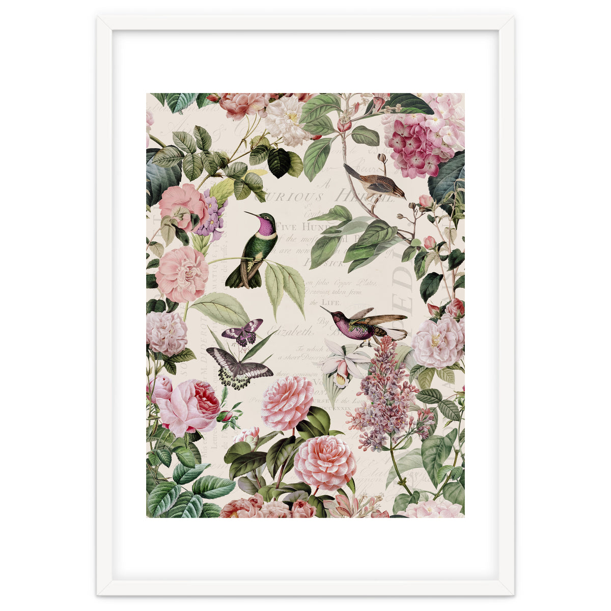 Hummingbirds And Roses