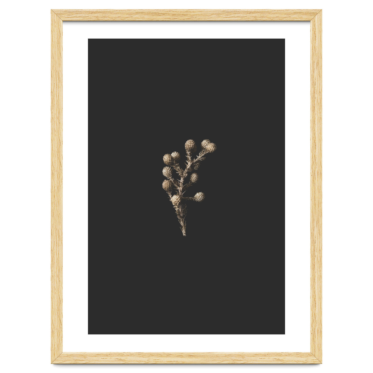 Gold Drops Botanicals