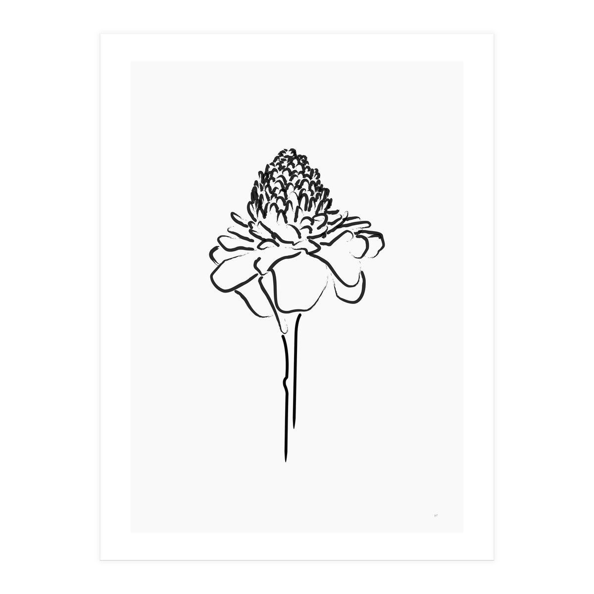 Black Flower (Print Only)