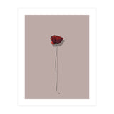 Poppy (Print Only) thumbnail