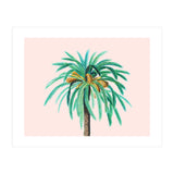 Coconut Island (Print Only) thumbnail