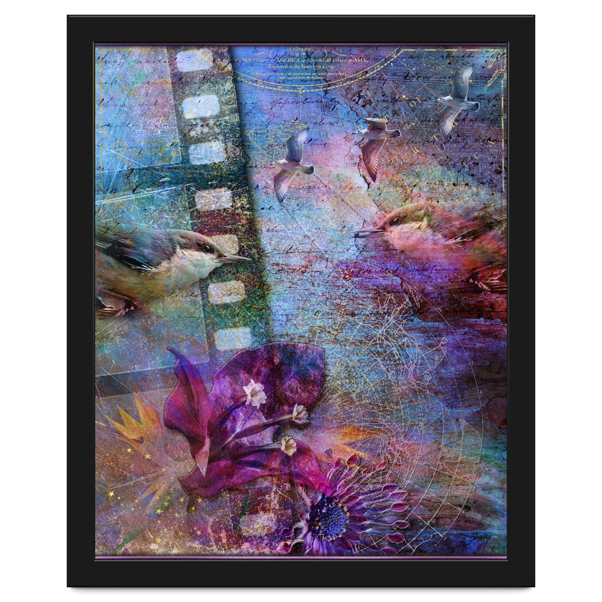 Watching the Wild World