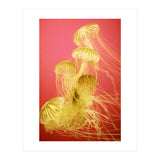 Jelly #7  (Print Only) thumbnail