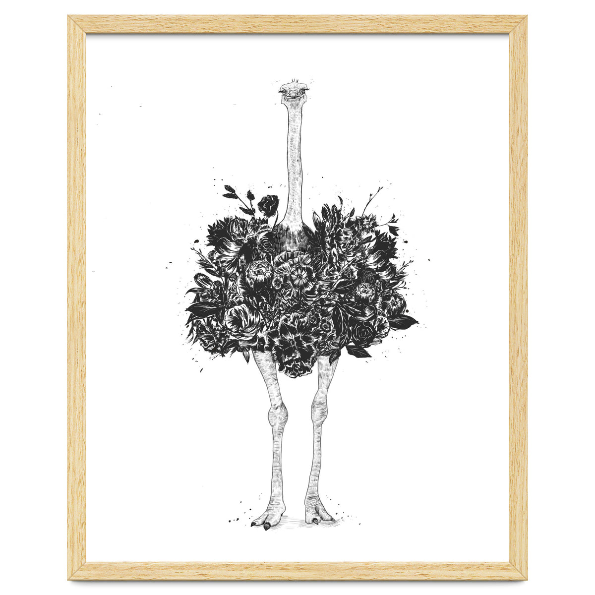 Floral Ostrich