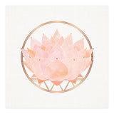 Peach Succulent  Blossom (Print Only) thumbnail