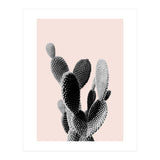 50 (Print Only) thumbnail
