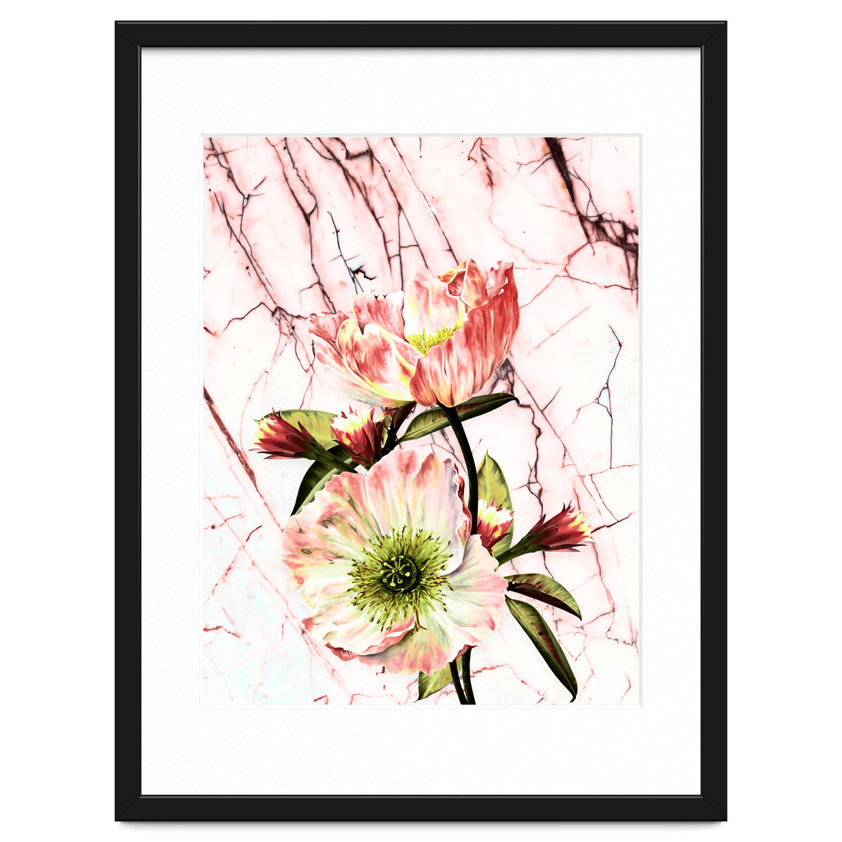 Flowering on pink marble