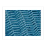 Pteridopsida 3 (Print Only) thumbnail