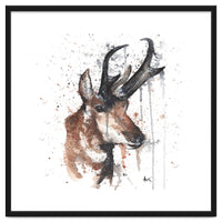 Red deer - Wildlife Collection