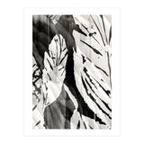 Tropical Season BW 3 (Print Only) thumbnail