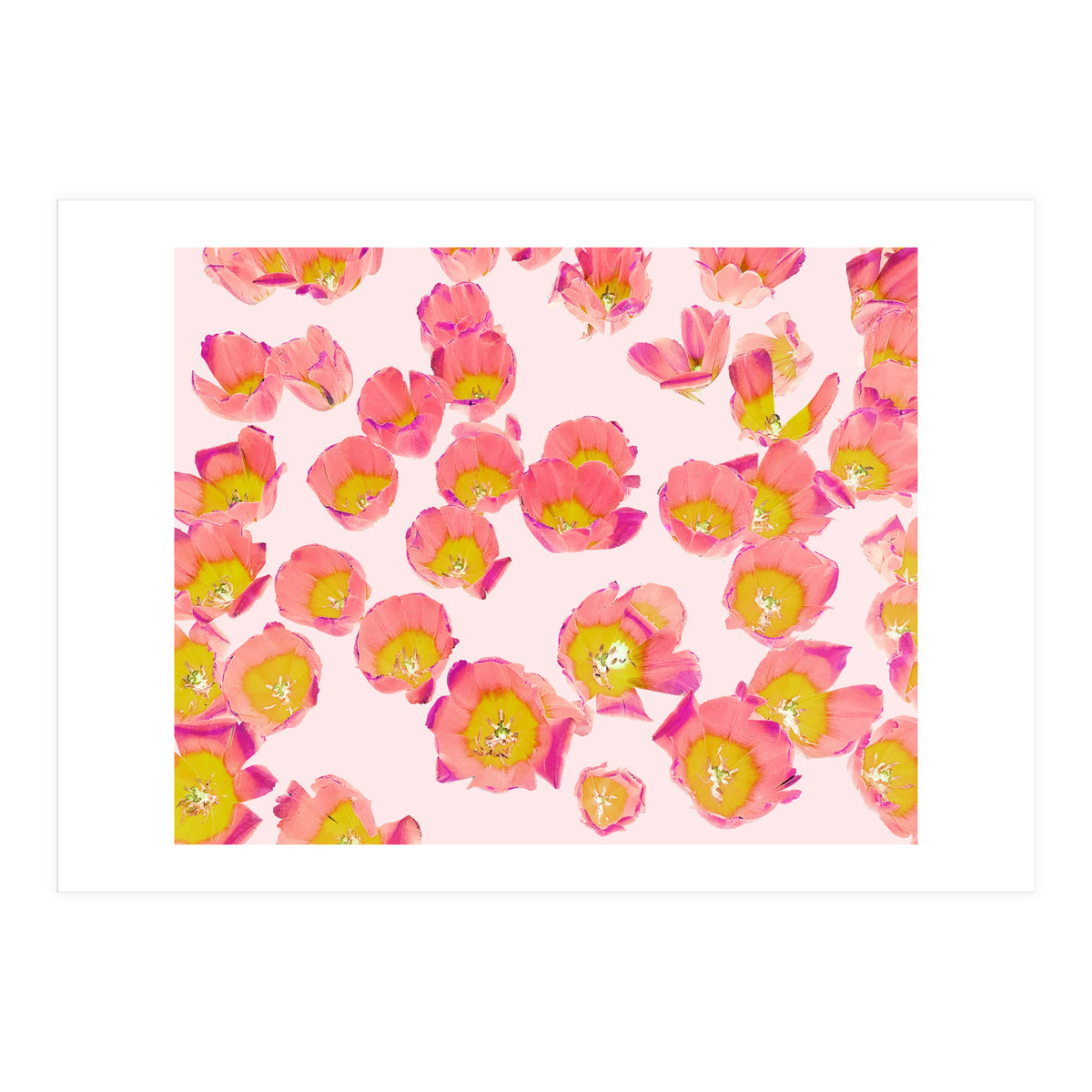 Flower Therapy (Print Only)