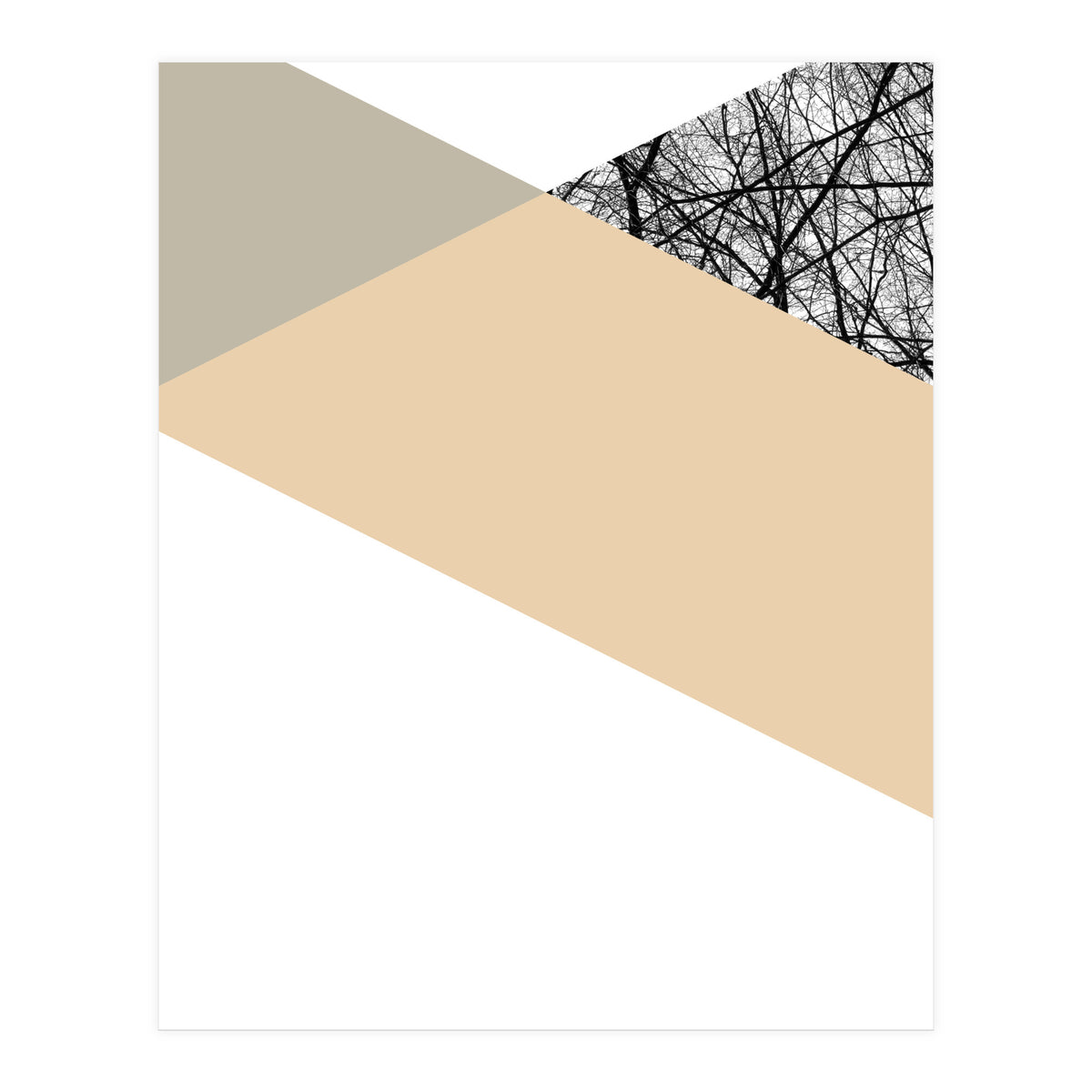 TRIWOOD IV (Print Only)