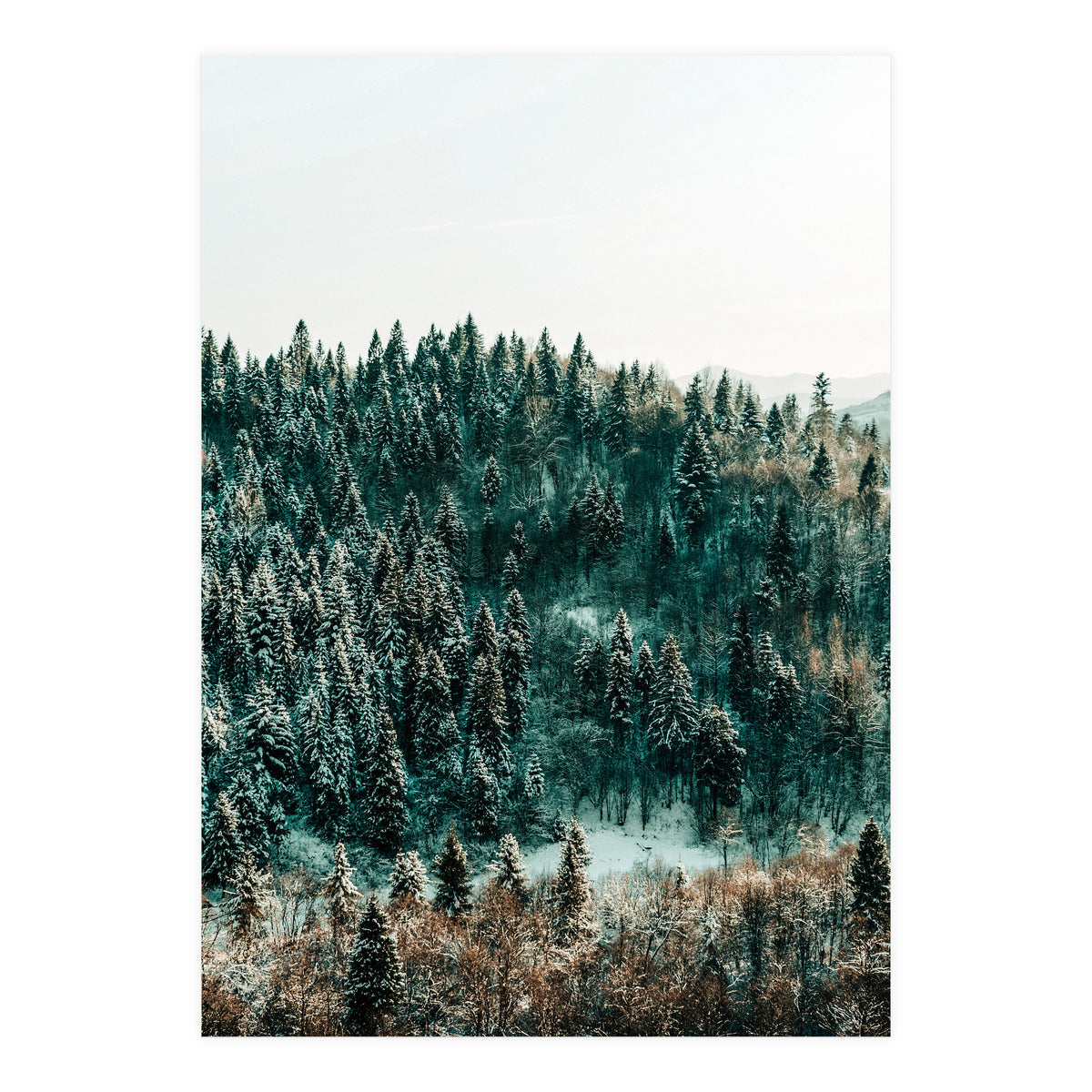 In The Wild (Print Only)