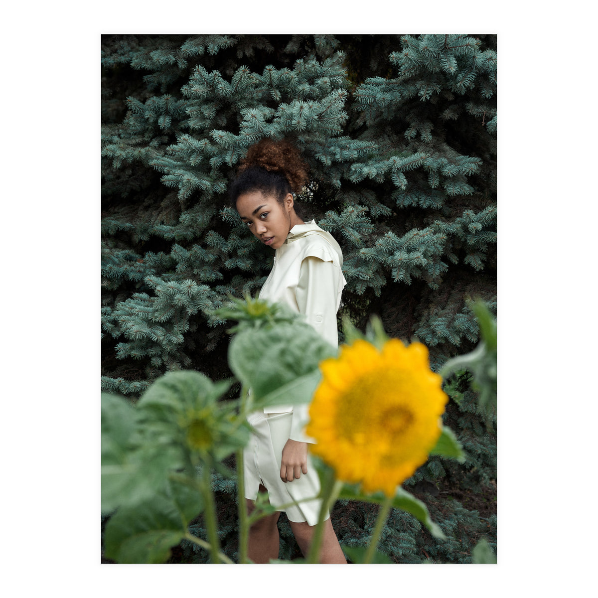 Northern Comfort (Print Only)