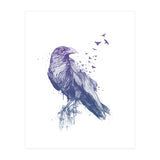 Born To Be Free (Print Only) thumbnail