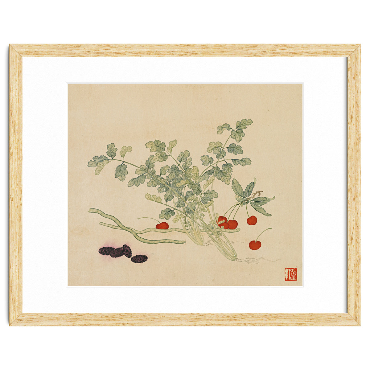 Wang Chengyu~flowers And Vegetables, Vegetables, Fruits, Beans, Red Beans, Cherries, Celery
