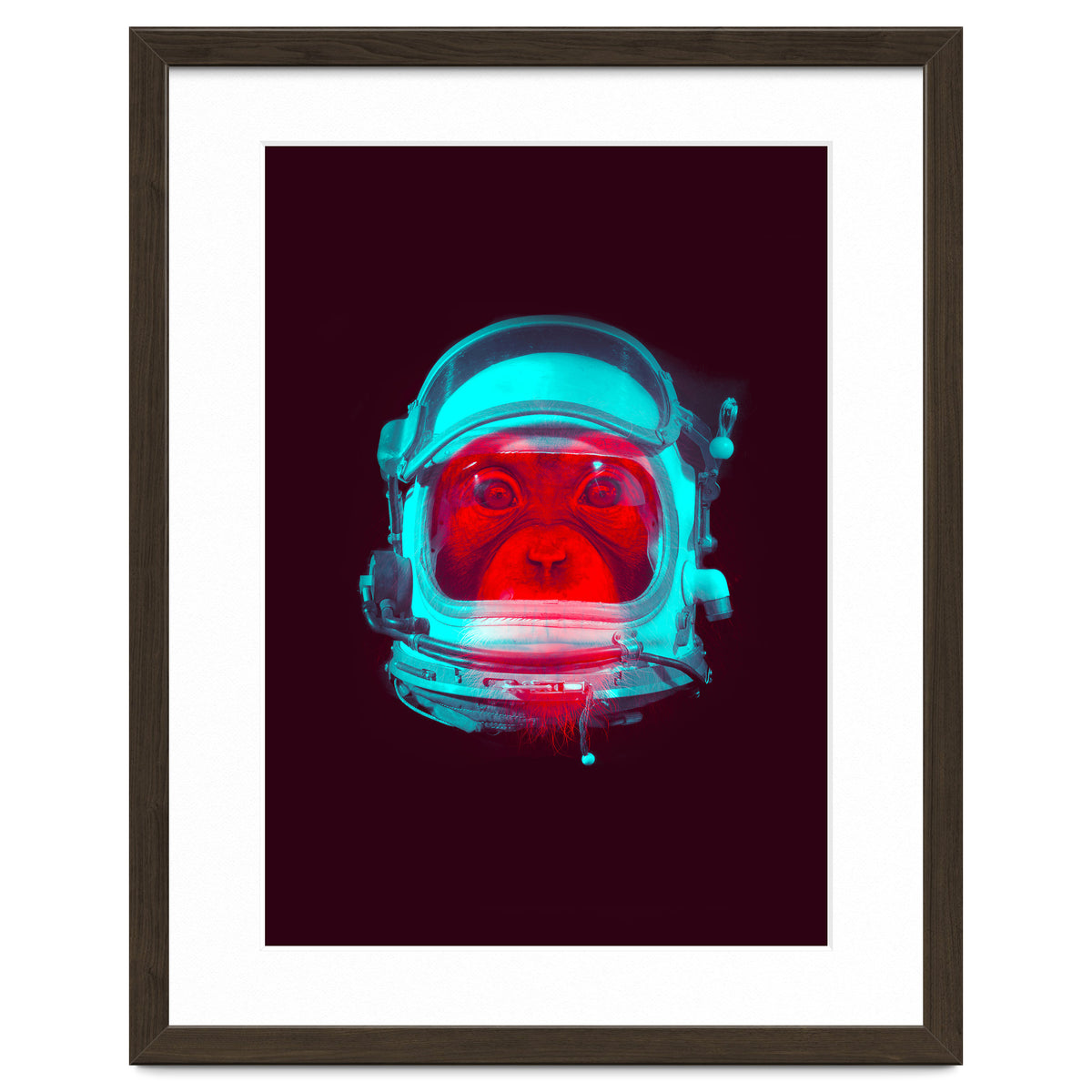 Astronaut