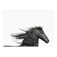 Dark Horse (Print Only)