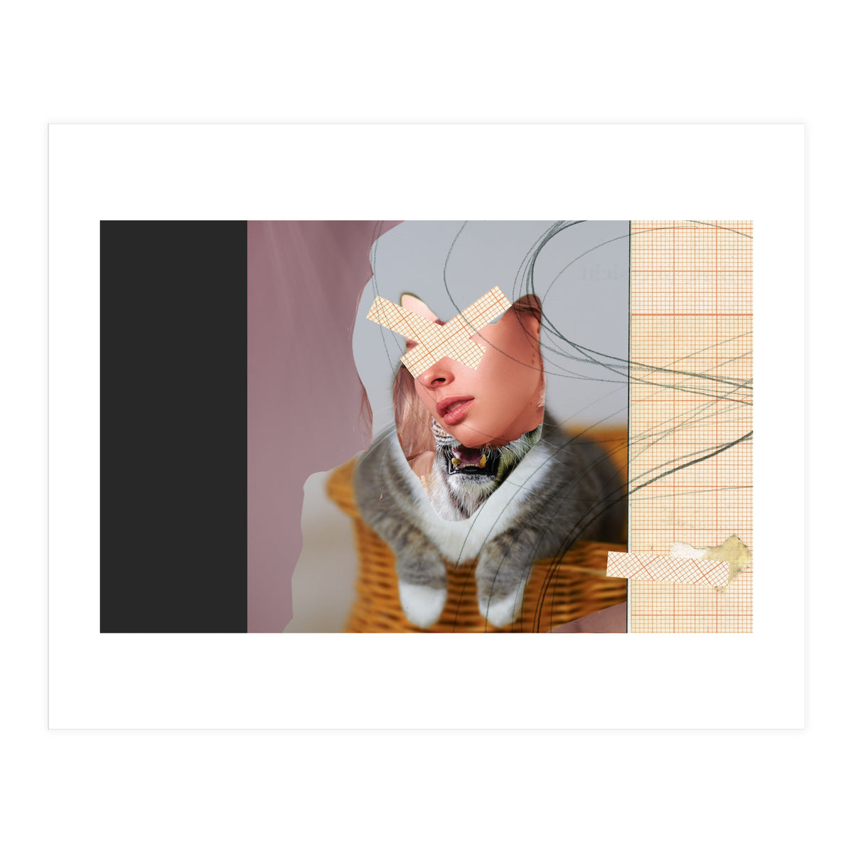 Miss Cat (Print Only)