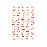 An Army Of Undisciplined Birds (Print Only) thumbnail