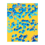 Bananans & Blue (Print Only) thumbnail