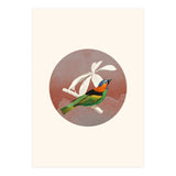 Bird Collage II (Print Only) thumbnail
