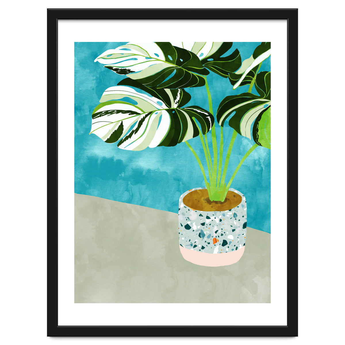 Variegated Monstera