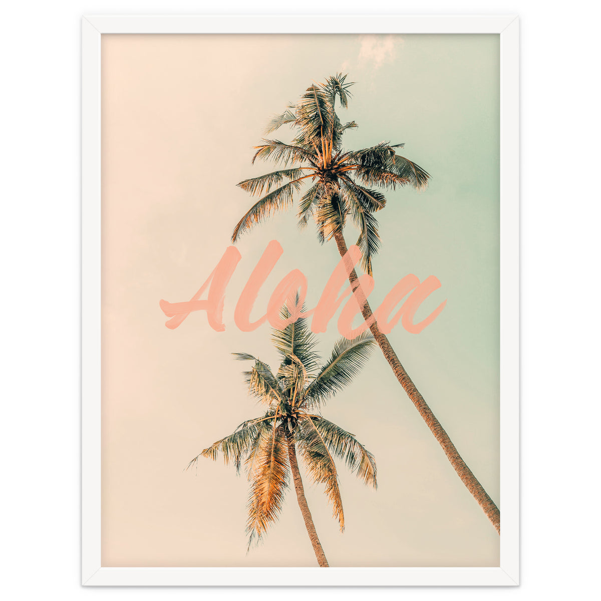 Aloha