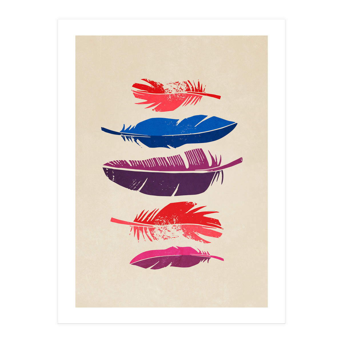 Feathers (Print Only)