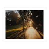 The Panhandle (Print Only) thumbnail