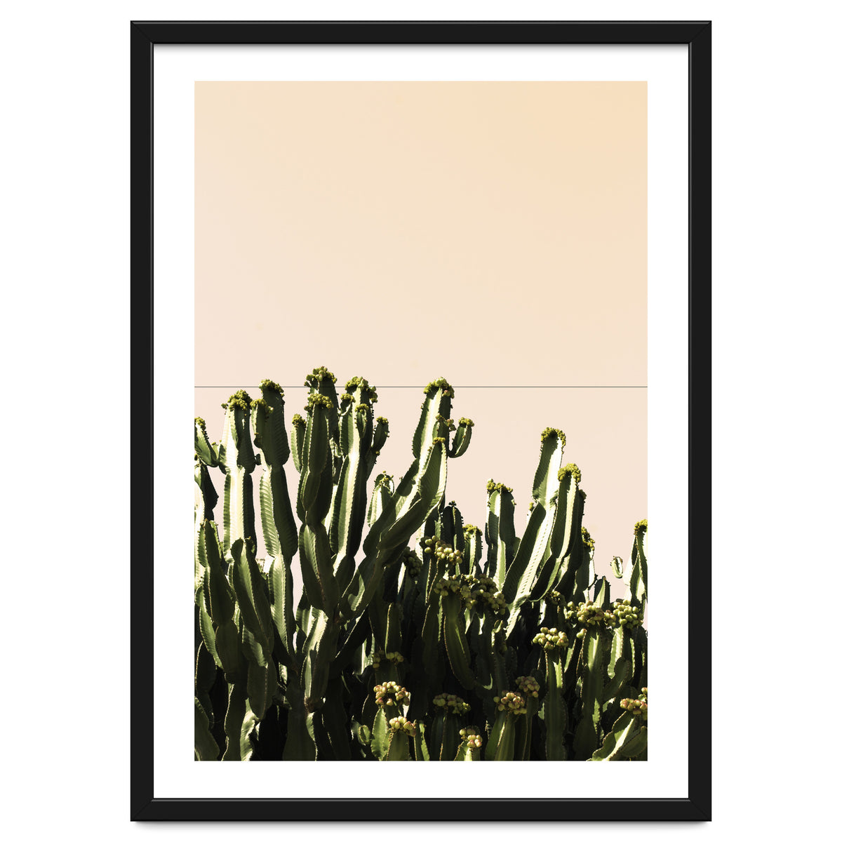 Cactus Vertical Color