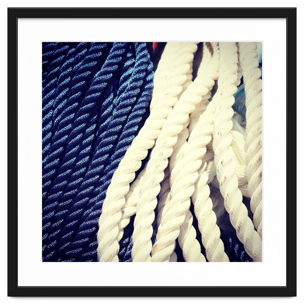 Blue and white fishing rope
