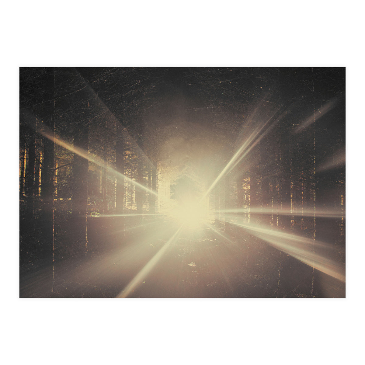 Why is Summer Mist Romantic and Autumn Mist just Sad? (Print Only)