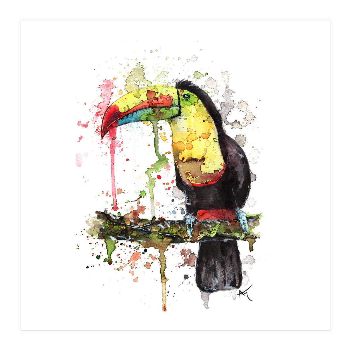 Toucan - Wildlife Collection (Print Only)