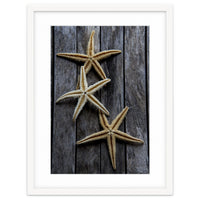 Starfishes in wooden