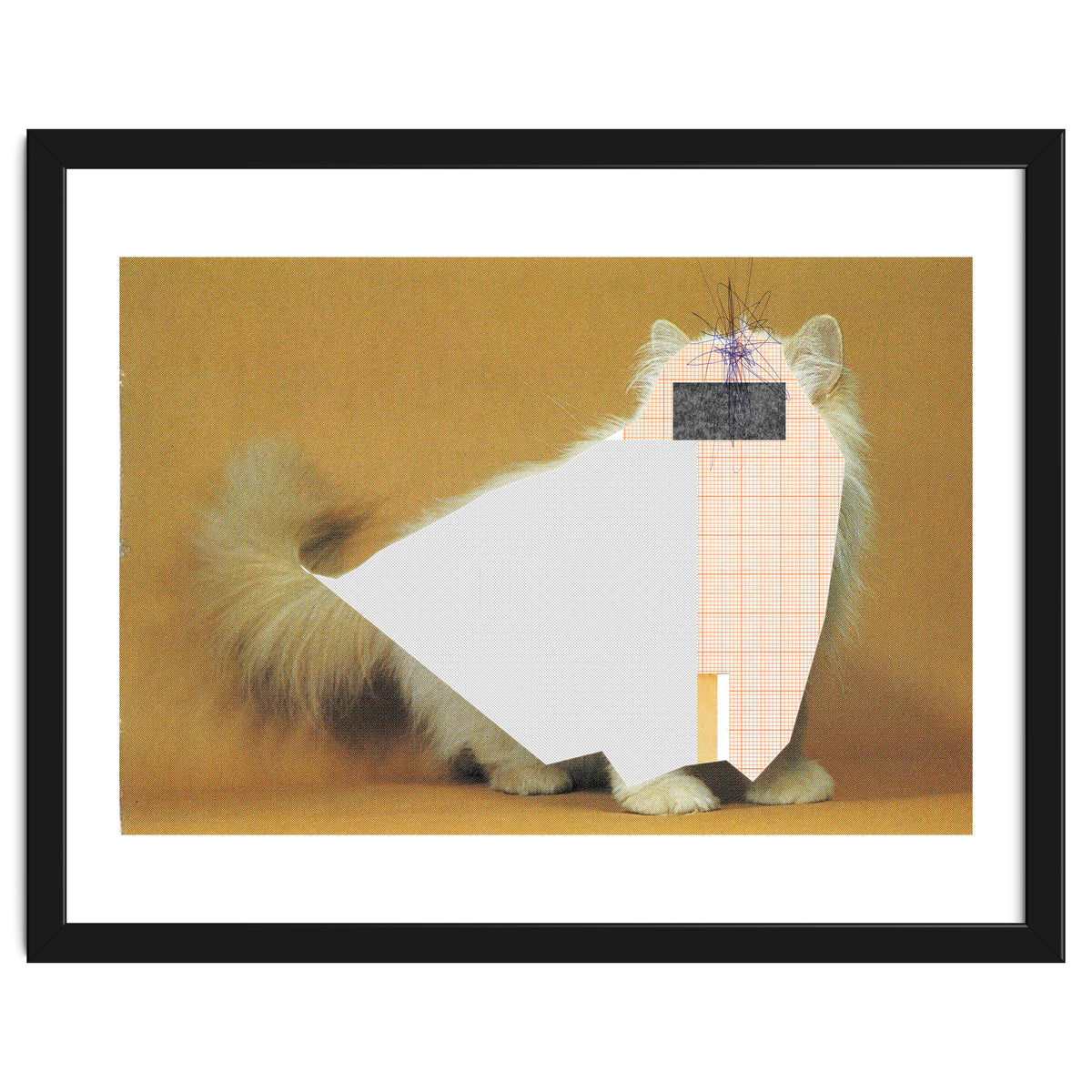 Content Of The Cat 1