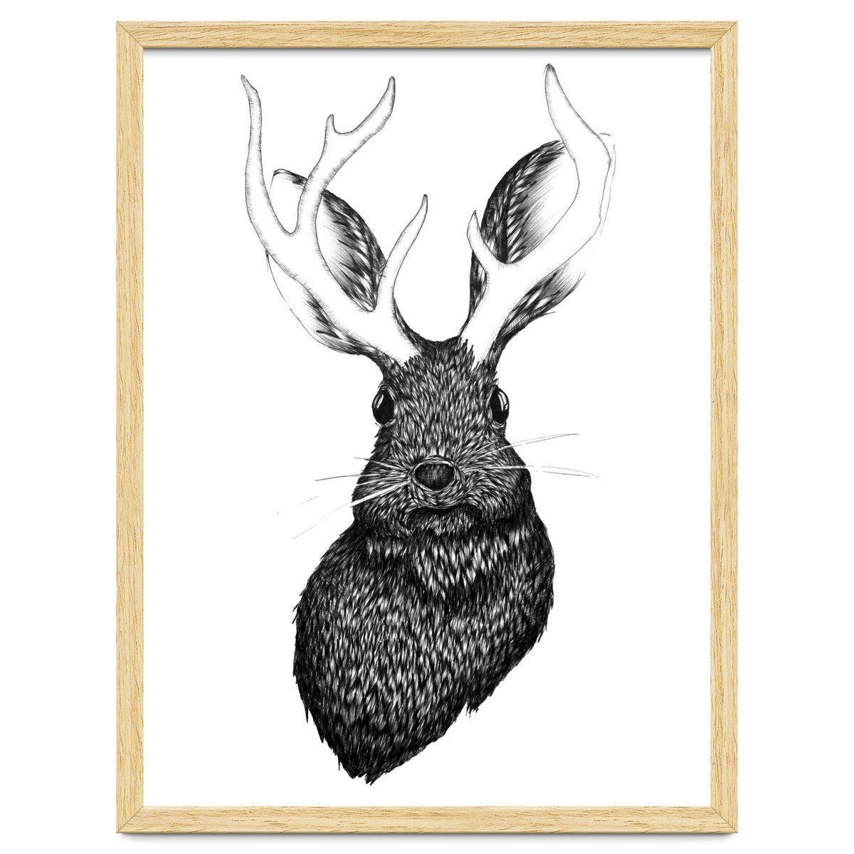 Jackalope
