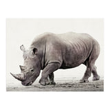 Rhino (Print Only) thumbnail