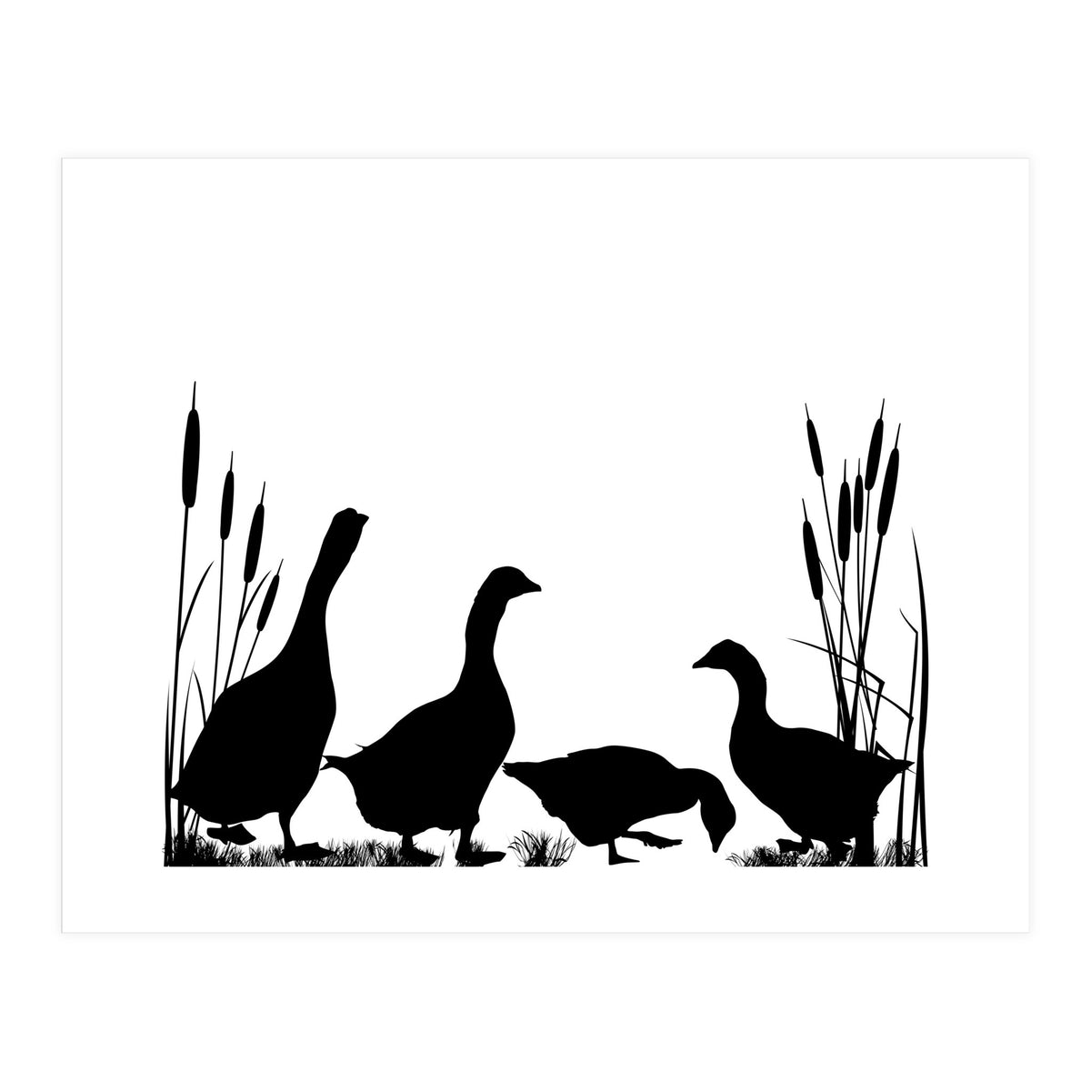 Goose talk (Print Only)