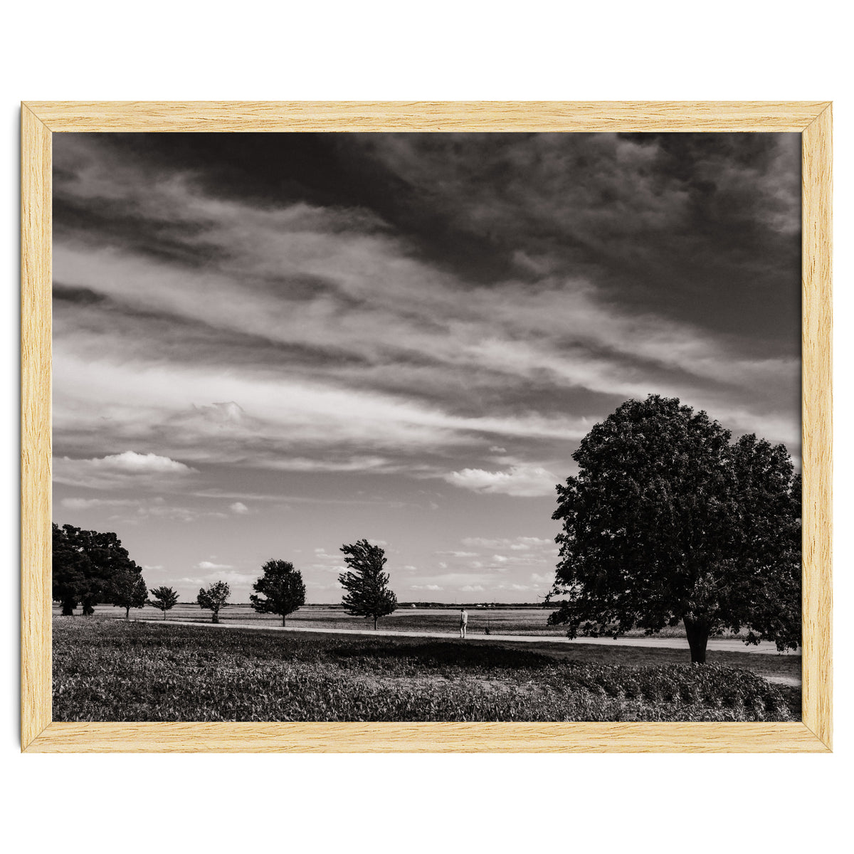 Country Road, Illinois