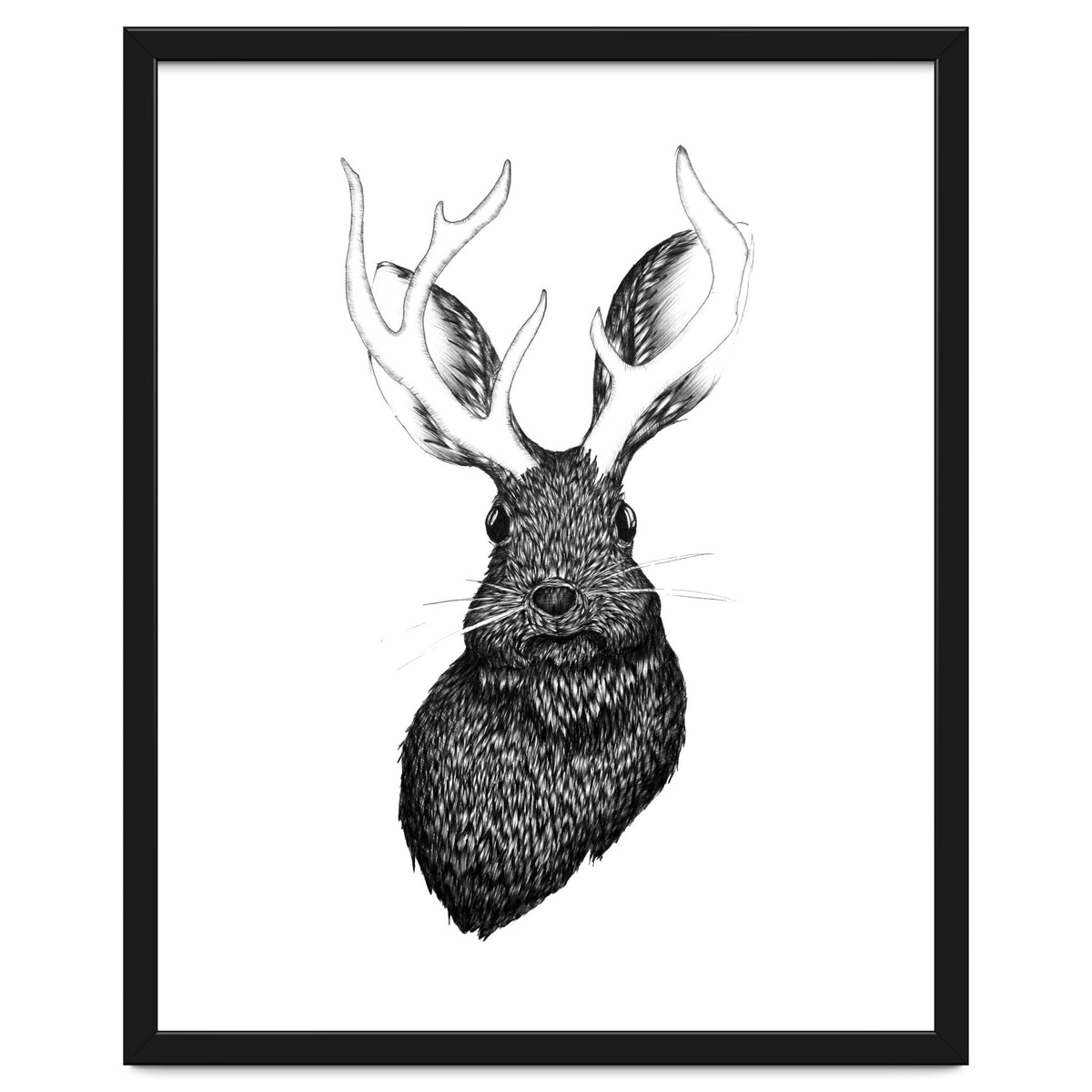 Jackalope