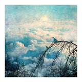 HEAVENLY BIRDS III-B4 (Print Only) thumbnail