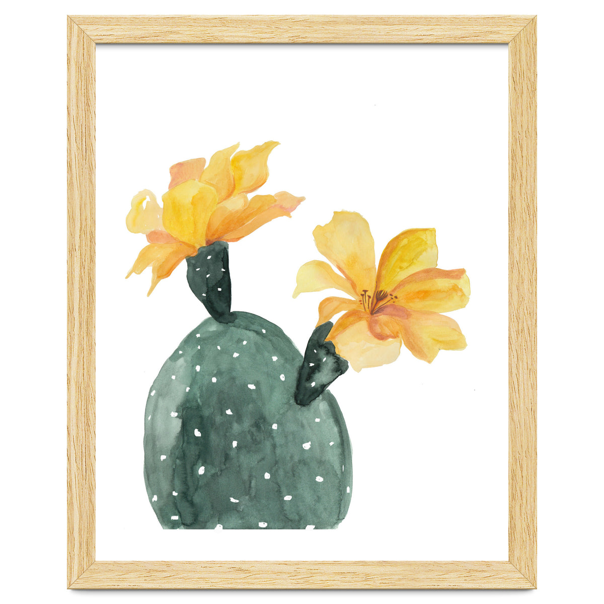 Botanical Illustration Yellow Cactus Flowers