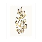 Cc Butterflies 01 (Print Only) thumbnail